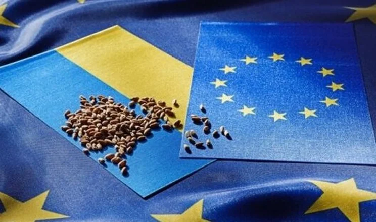 Прапори України та ЄС із зерном як символ аграрного експорту до Європи
