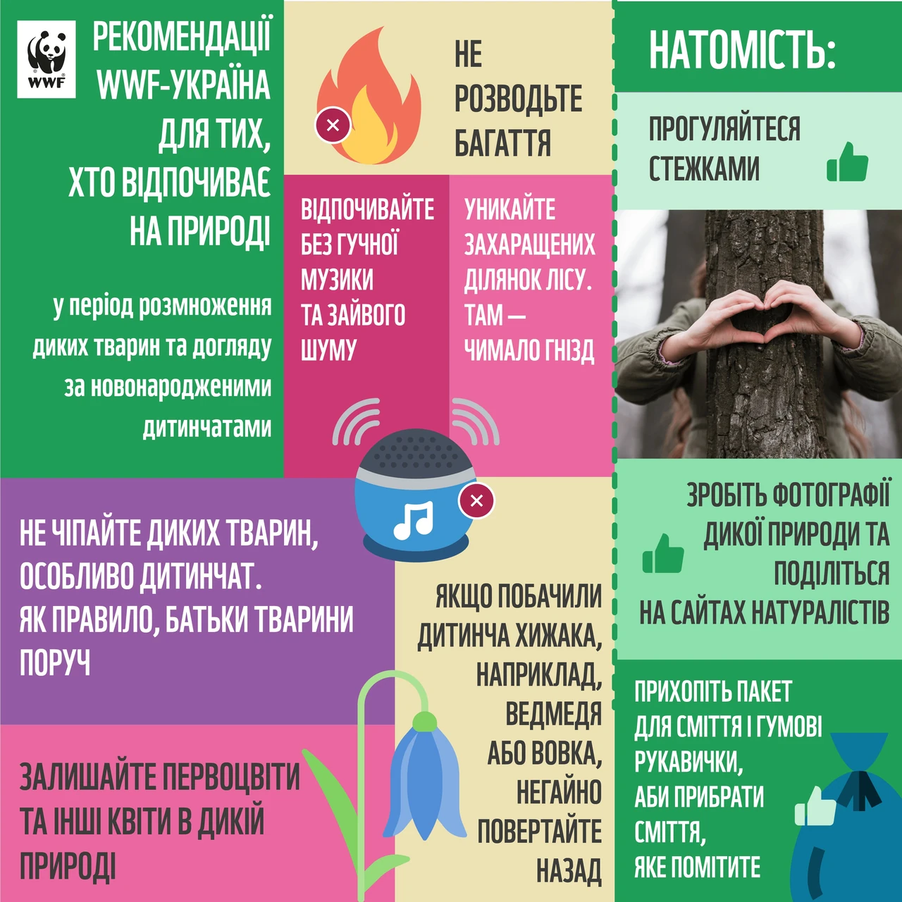 Помста природи: як довкілля відповідає на втручання людини